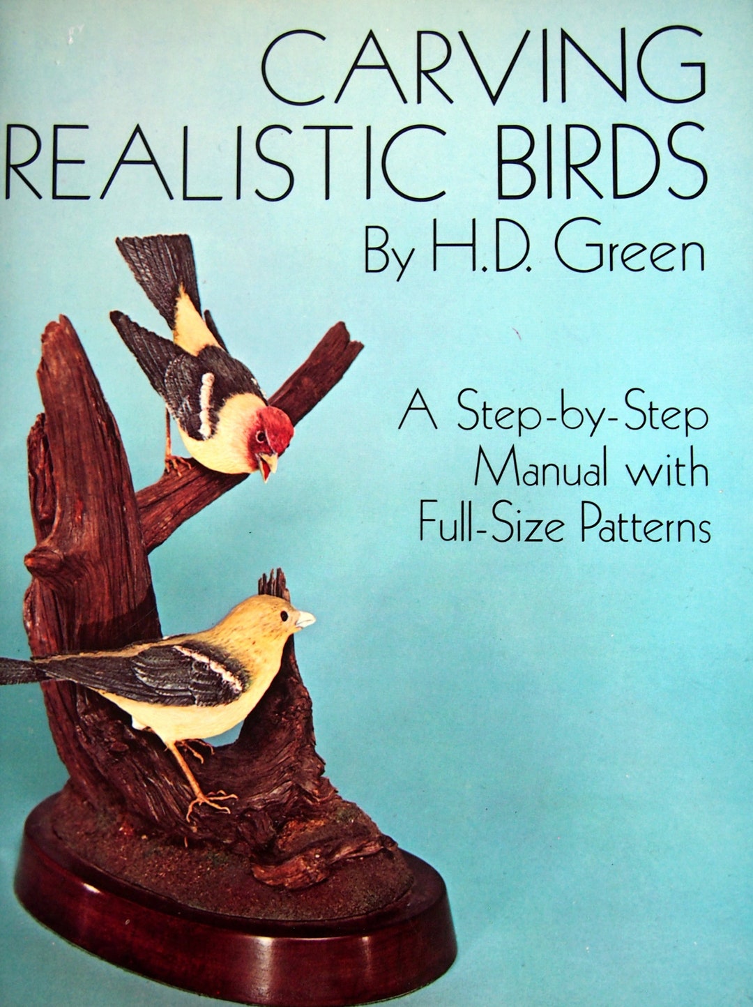 Carving Realistic Birds A Stepbystep Manual With Fullsize Etsy