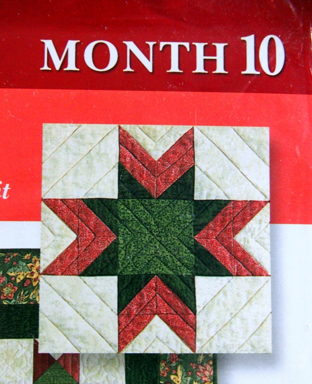 Memory Star - Month 10 - Legacy Star for Joann Fabric and Craft Vintage ...