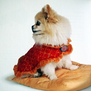 May include: A small, fluffy dog wearing a handmade orange and rust-colored knitted cape with a ruffled collar. The cape is secured with a button featuring a spiral design. The dog is sitting on a tan pillow.
