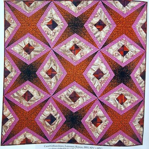 Fresh Perspectives - Reinventing 18 Classic Quilts by Carol Gilham ...