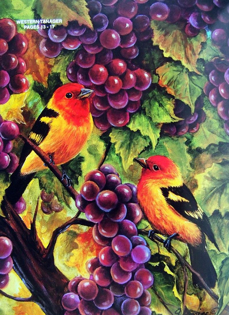 Bitterroot Backroads 5 - Painting Birds by Glenice Moore Vintage ...