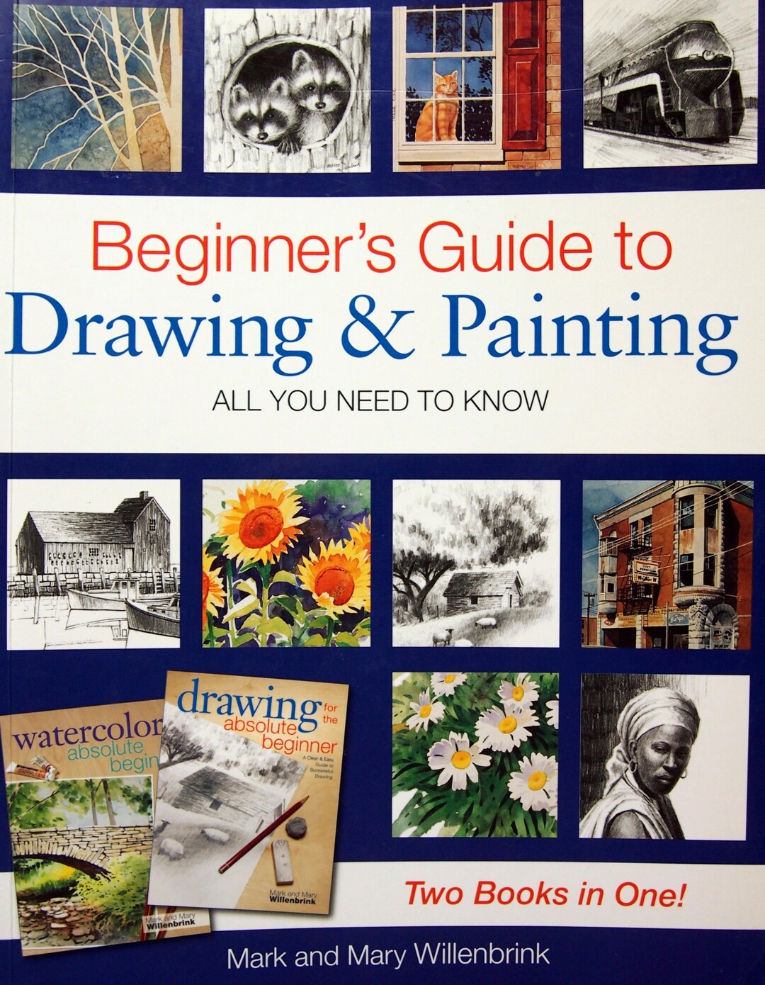 Beginner's Guide to Drawing & Painting by Mark and Mary Willenbrink ...