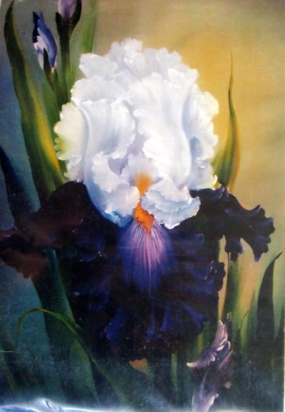 Iris - Floral How-to Painting Packet by Annette Kowalski and Bob
