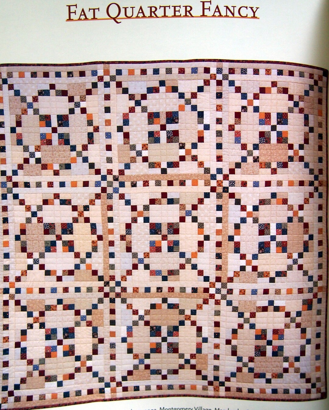 Burgoyne Surrounded A Classic Quilt Plus Six Variations by Elizabeth