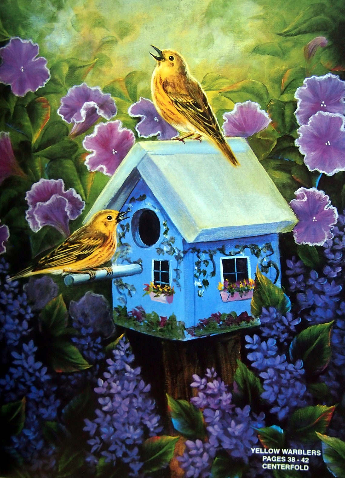 Bitterroot Backroads 5 - Painting Birds by Glenice Moore Vintage ...
