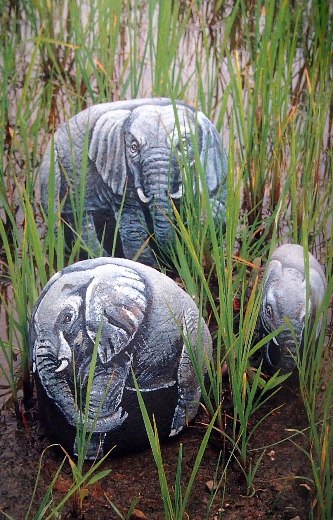 Painting Zoo Animals on Rocks by Lin Wellford Paperback Decorative ...