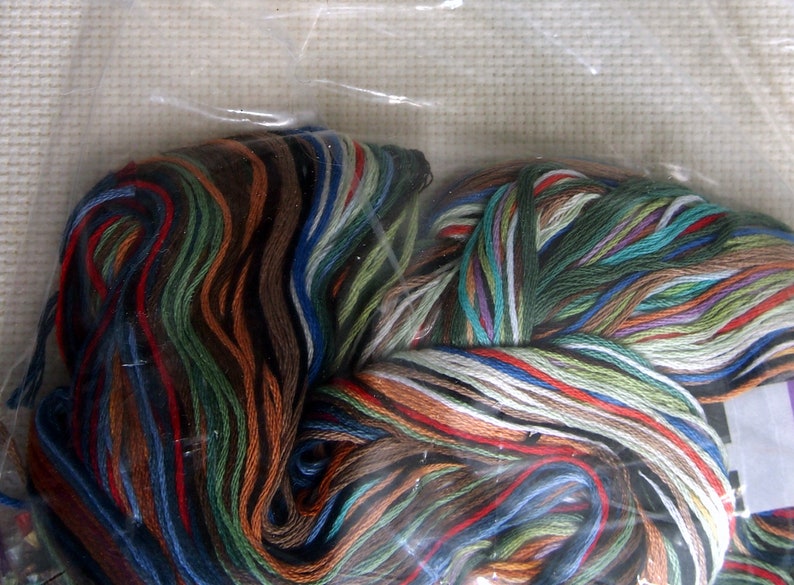 May include: A close-up of a bundle of embroidery floss in various colors, including brown, green, blue, red, and white. The floss is wrapped in plastic and appears to be new.