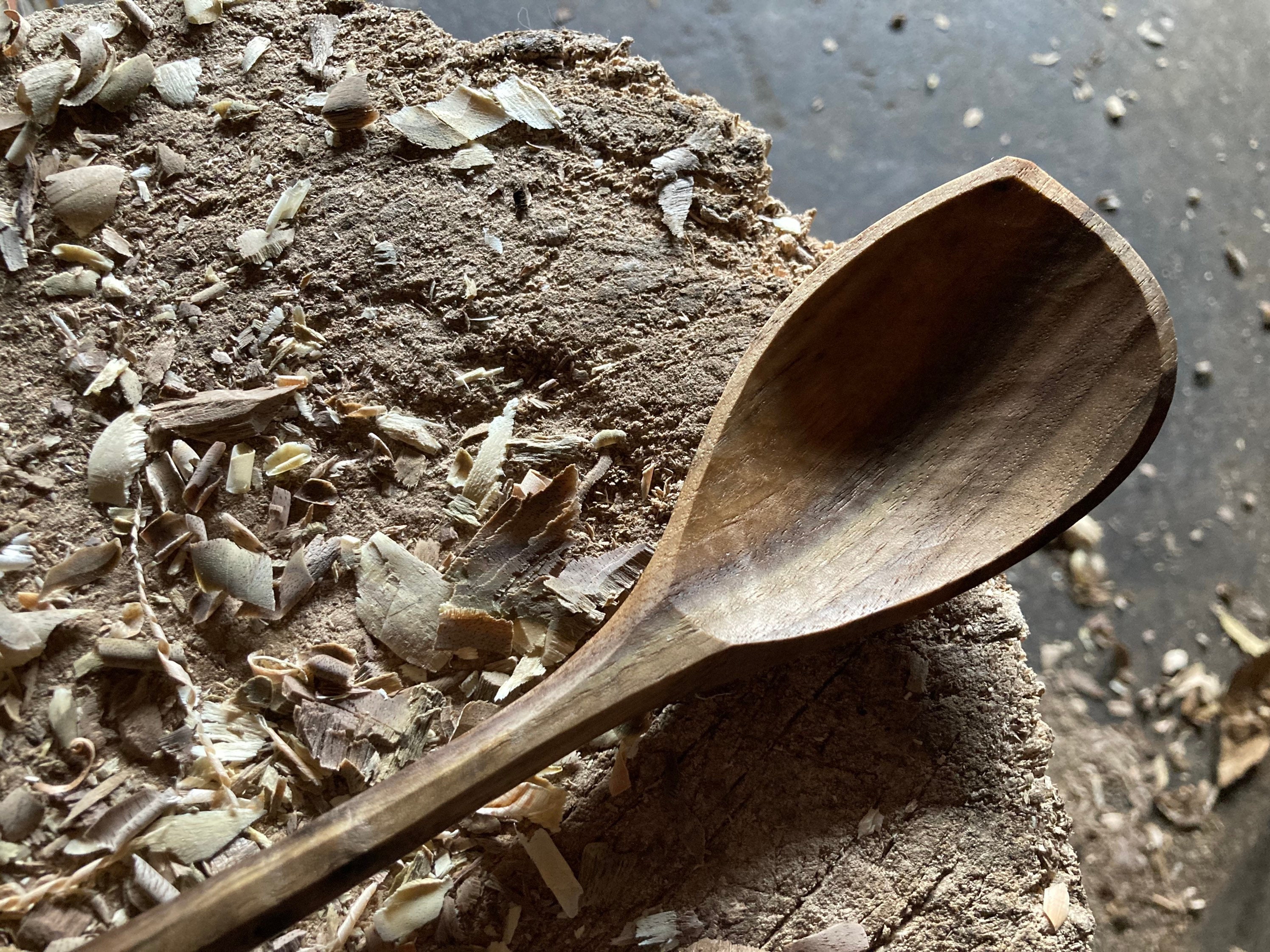 Wooden Cooking Spoon - Earlywood