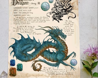 Chinese Dragon Field Note