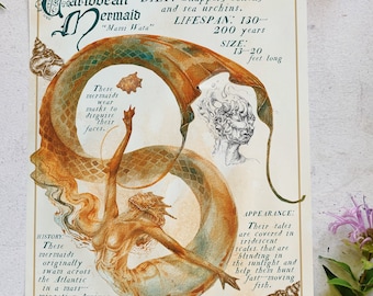 Caribbean Mermaid Field Note — Mythological Mermaid Art Print, Watercolor Fantasy Wall Art, Ocean Lover Gift, 8x10