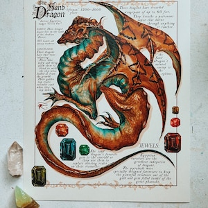 May include: An illustrated print featuring a detailed depiction of a Sand Dragon, with text describing its habitat, diet, and camouflage. The dragon is rendered in shades of brown, teal, and orange, with jewel illustrations. The print also includes text about the dragon's natural enemy, the sphinx.