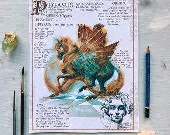 Pegasus Field-Note