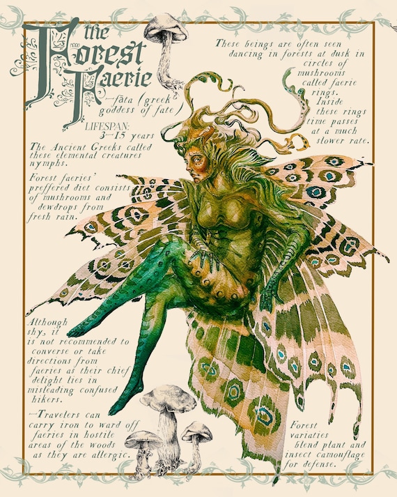 クリスティンハワース【FOREST FAERIE】 Limited Ed Crisalis Collection “Forest Faerie” By Christine