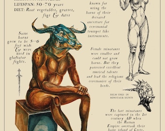Minotaur Field Note