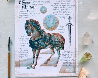 The Medieval Unicorn