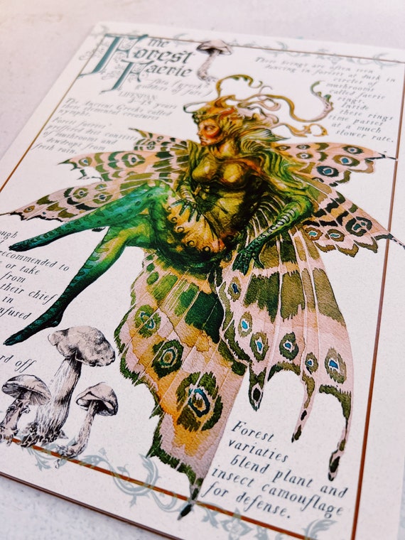 Forest Faerie Field Note - Etsy