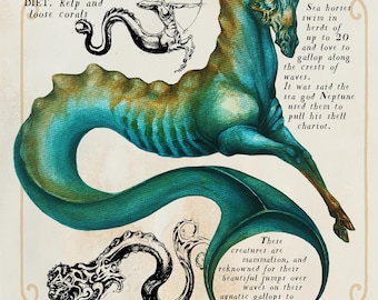 Hippocampus Field Note