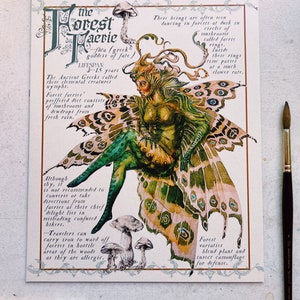 Forest Faerie Field Note