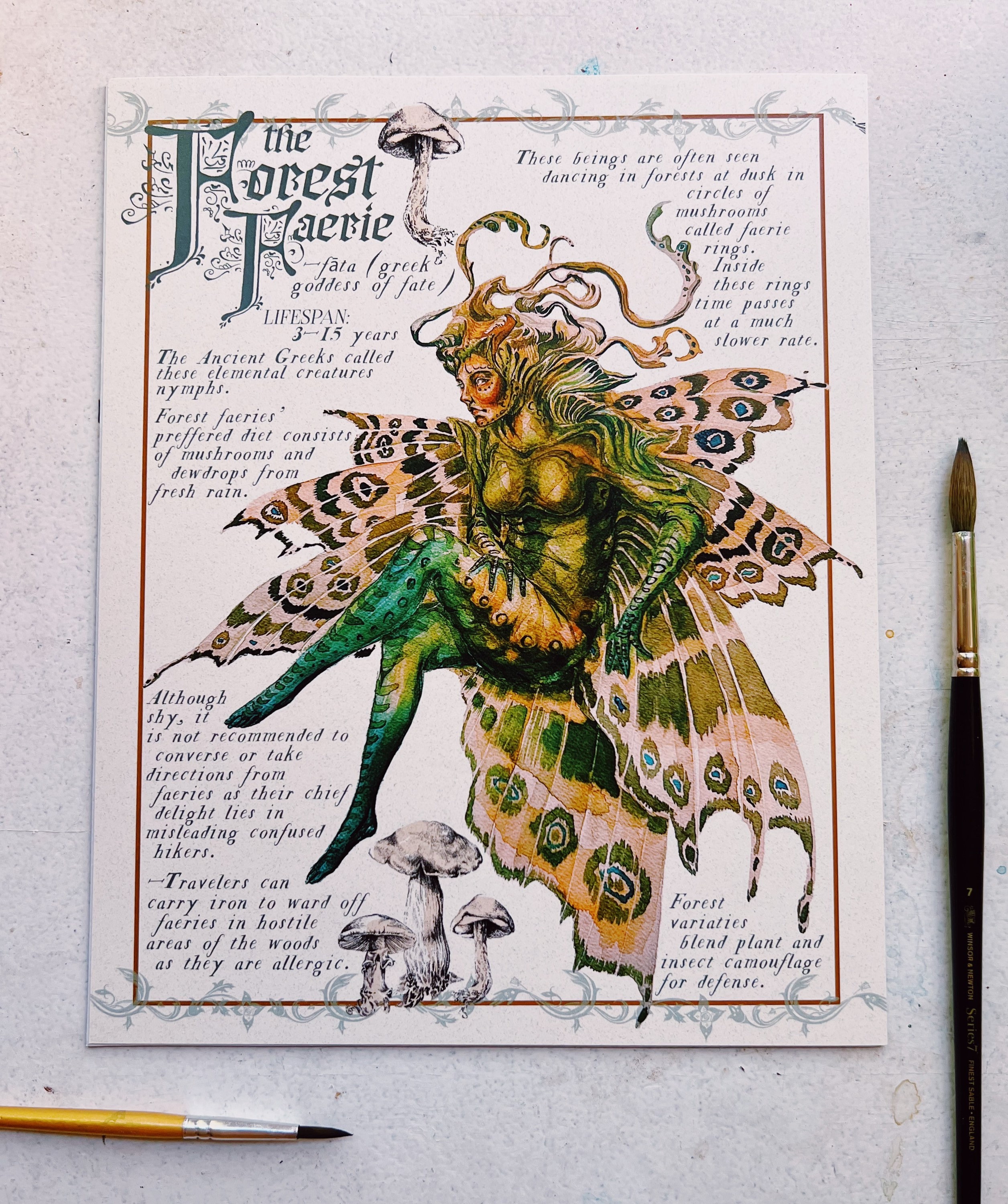 Forest Faerie Field Note - Etsy