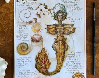 Pacific Kelpmaid Fieldnote — Mythological Mermaid Art Print, Watercolor Fantasy Wall Art, Ocean Lover Gift, 8x10