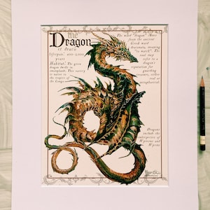 Dragon Field Note