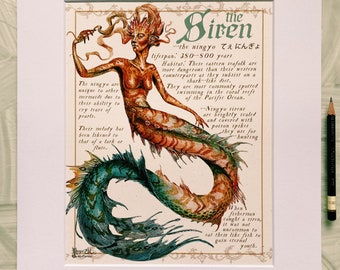 Siren Field Note Poster