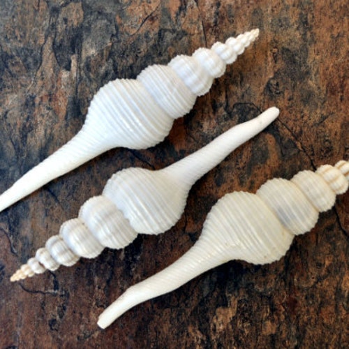 Little Mermaid Bathtub Scene Etsy