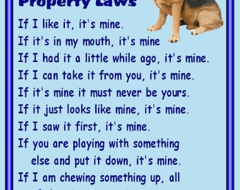 BLOODHOUND Property Laws Magnet Personalized With Your Dog/'s Name