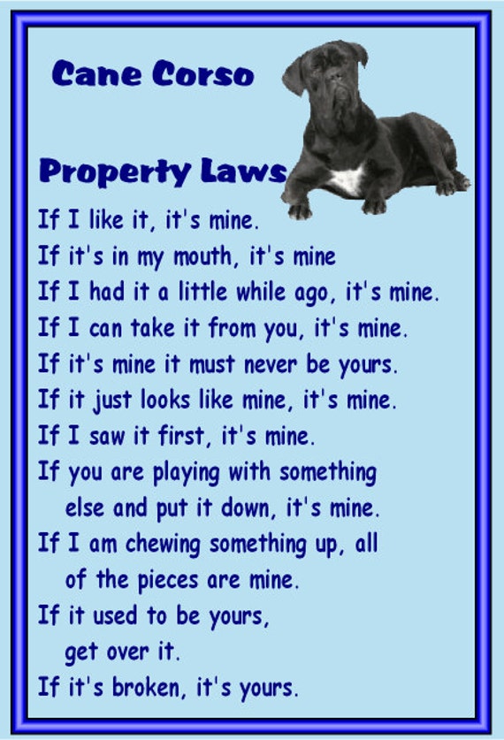 Gifts For Dog Owners Cane Corso Fridge Magnet Various Designs Available