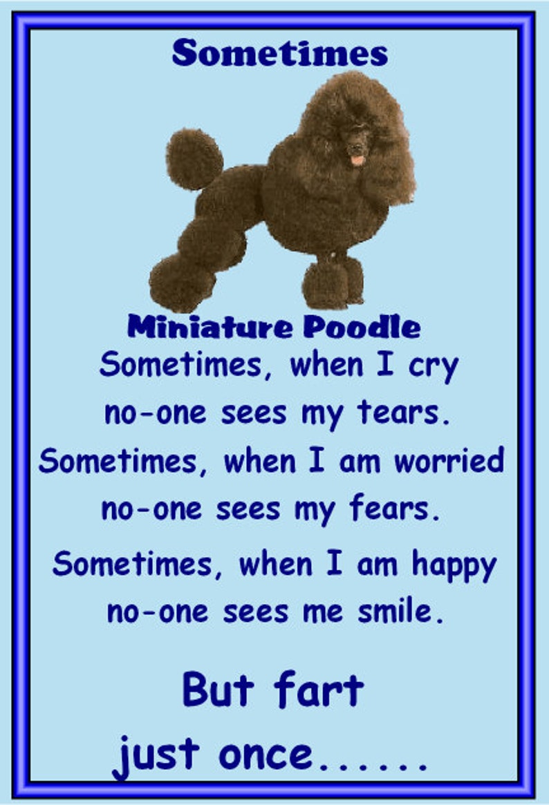 Miniature Poodle Fridge magnet Gifts for dog owners various designs available