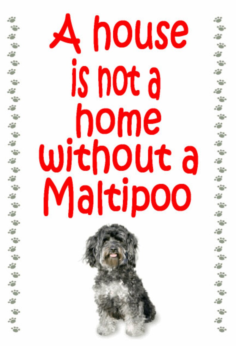 Maltipoo Fridge magnet Gifts for dog owners various designs available