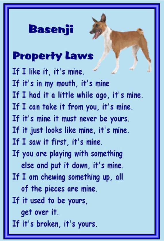 vca animal hospital bloomington