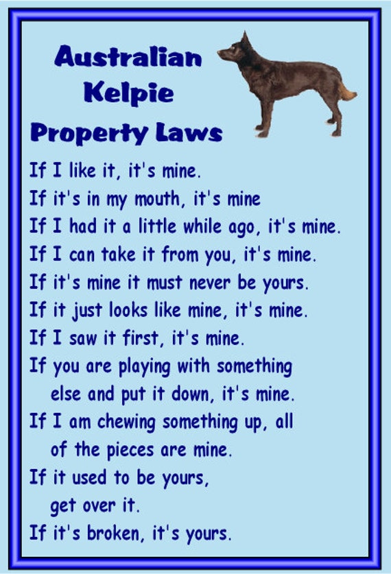 are willow trees poisonous to dogs