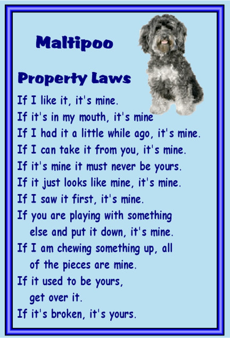 Maltipoo Fridge magnet Gifts for dog owners various designs available