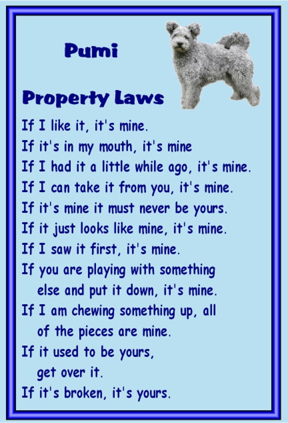 Miniature Poodle Fridge magnet Gifts for dog owners various designs available