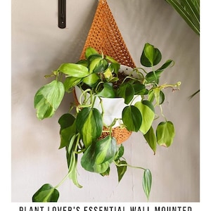 Puede incluir: Un macetero de crochet de color naranja c&aacute;lido cuelga de un gancho blanco en una pared. Una planta en maceta con hojas verdes y amarillas est&aacute; dentro del macetero.