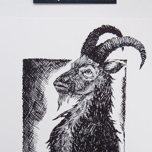 Black Phillip illustration print