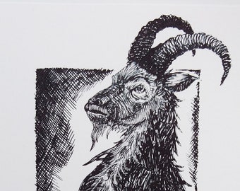 Black Phillip illustration print