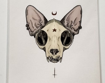 Vinny Cat on skull/立体アート Vinny Cat on skull/立体アート Vinny