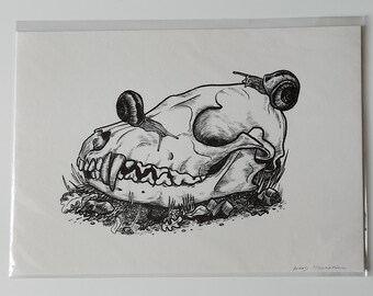 Snails on a fox skull illustration print