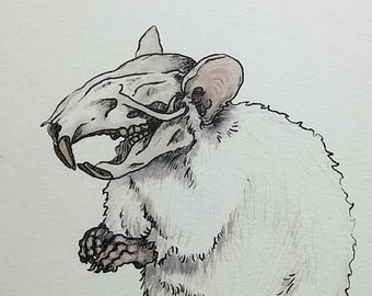 RATTE A4 Print only