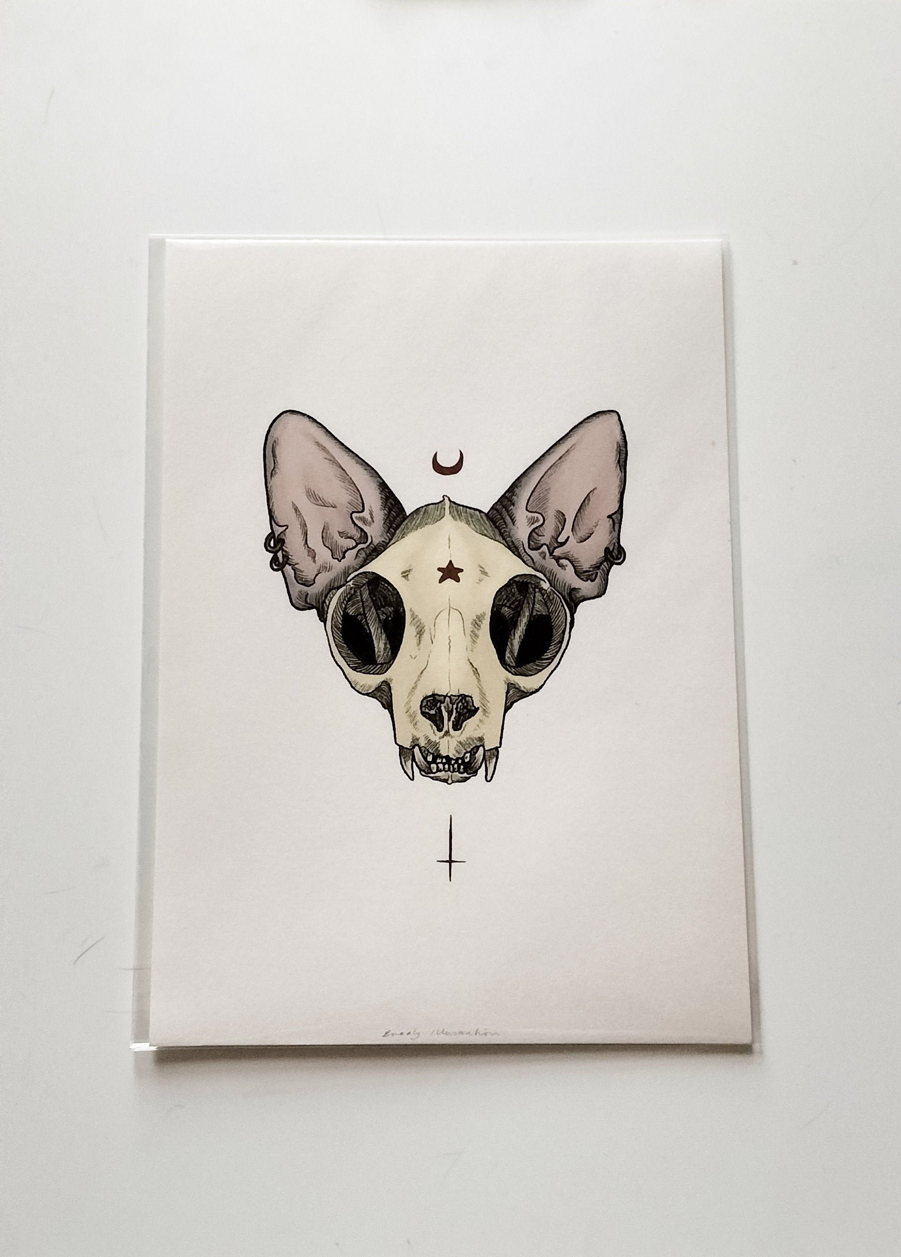 Vinny Cat on skull/立体アート Vinny Cat on skull/立体アート