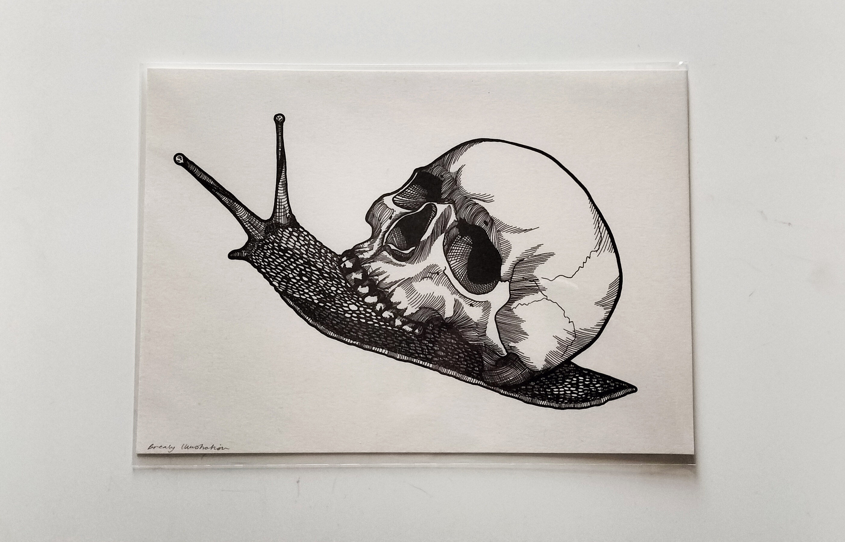 Snail Shell Skull print A4 High Quality Print Etsy