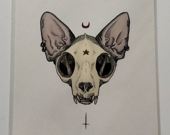 Vinny Cat on skull/立体アート Vinny Cat on skull/立体アート