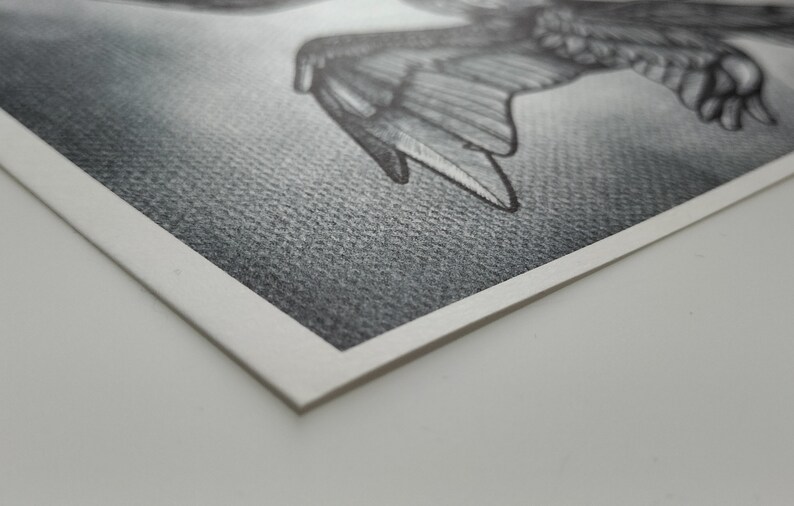 May include: A detailed pencil drawing of a bird in flight, with outstretched wings. The artwork is rendered in grayscale, showcasing intricate feather details and shading. The drawing is on textured paper with a white border.