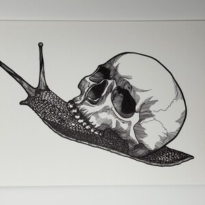 Puede incluir: Un dibujo en blanco y negro a pluma y tinta de un caracol con un cr&aacute;neo humano como concha.