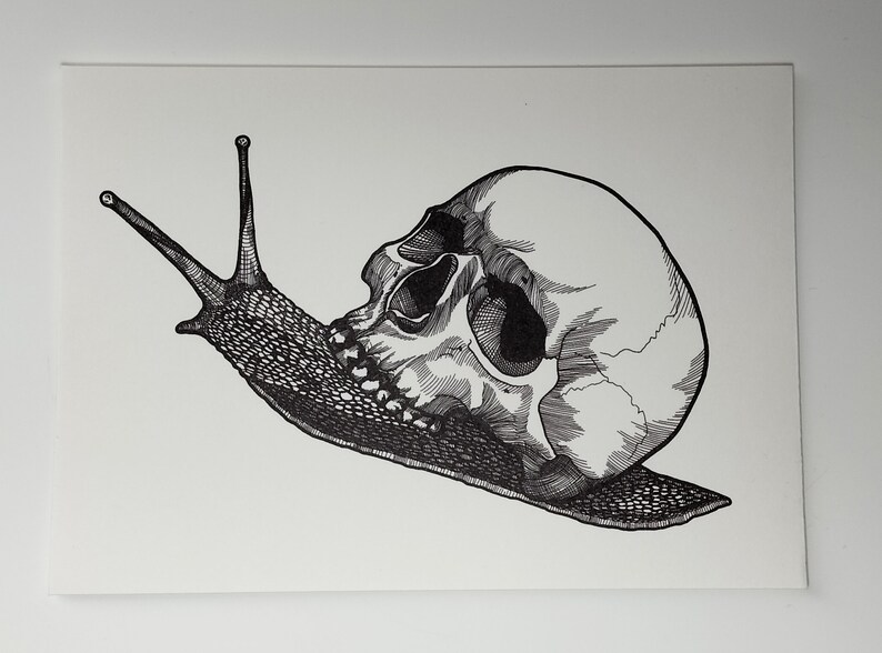 Puede incluir: Un dibujo en blanco y negro a pluma y tinta de un caracol con un cr&aacute;neo humano como concha.