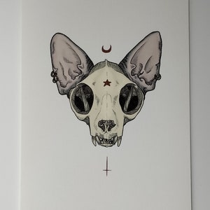 Puede incluir: Una ilustraci&oacute;n en blanco y negro de una calavera de gato con orejas grandes. La calavera tiene una estrella roja en la frente y una luna creciente por encima. Una cruz roja est&aacute; debajo de la calavera.
