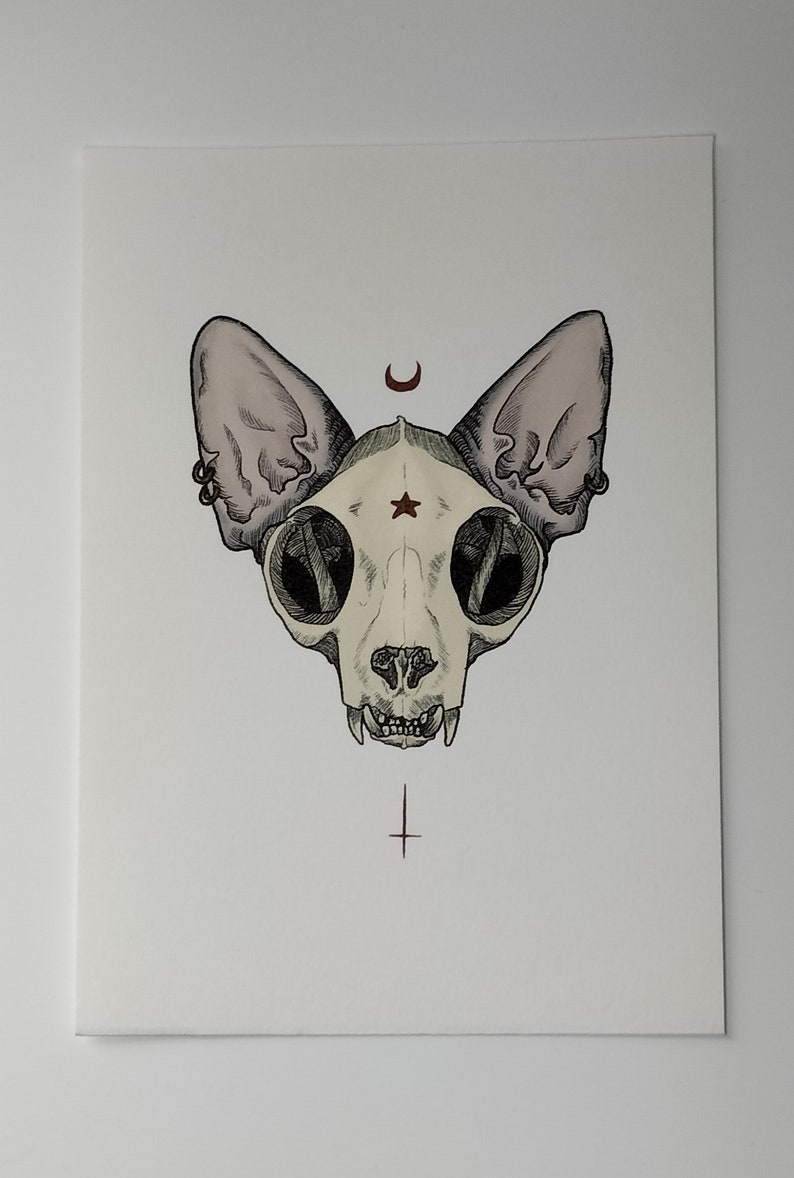 Puede incluir: Una ilustraci&oacute;n en blanco y negro de una calavera de gato con orejas grandes. La calavera tiene una estrella roja en la frente y una luna creciente por encima. Una cruz roja est&aacute; debajo de la calavera.