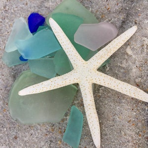 Beach Treasures Color Print